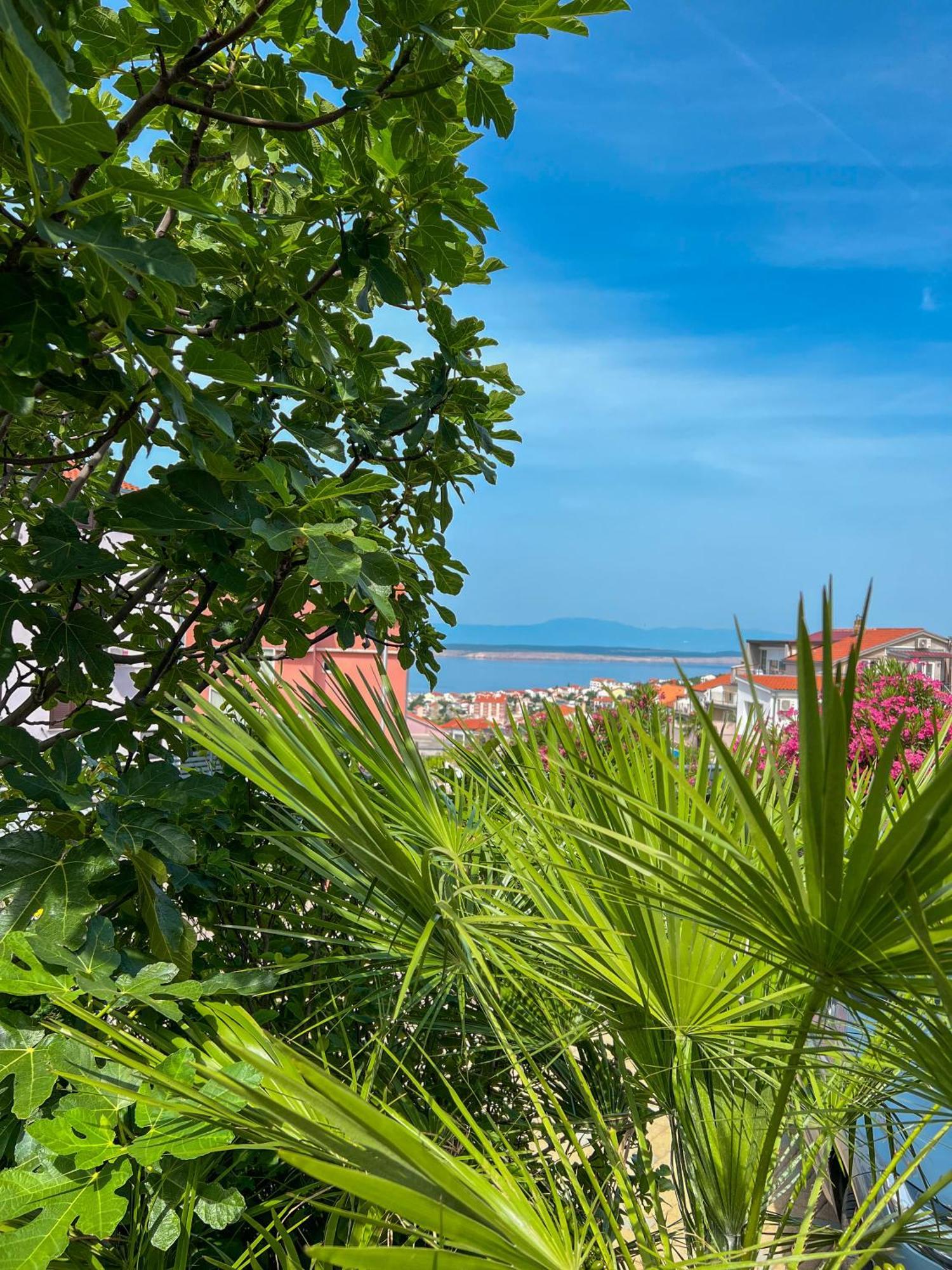 Apartments Villa Klaudia - Adults Only Crikvenica Exteriör bild